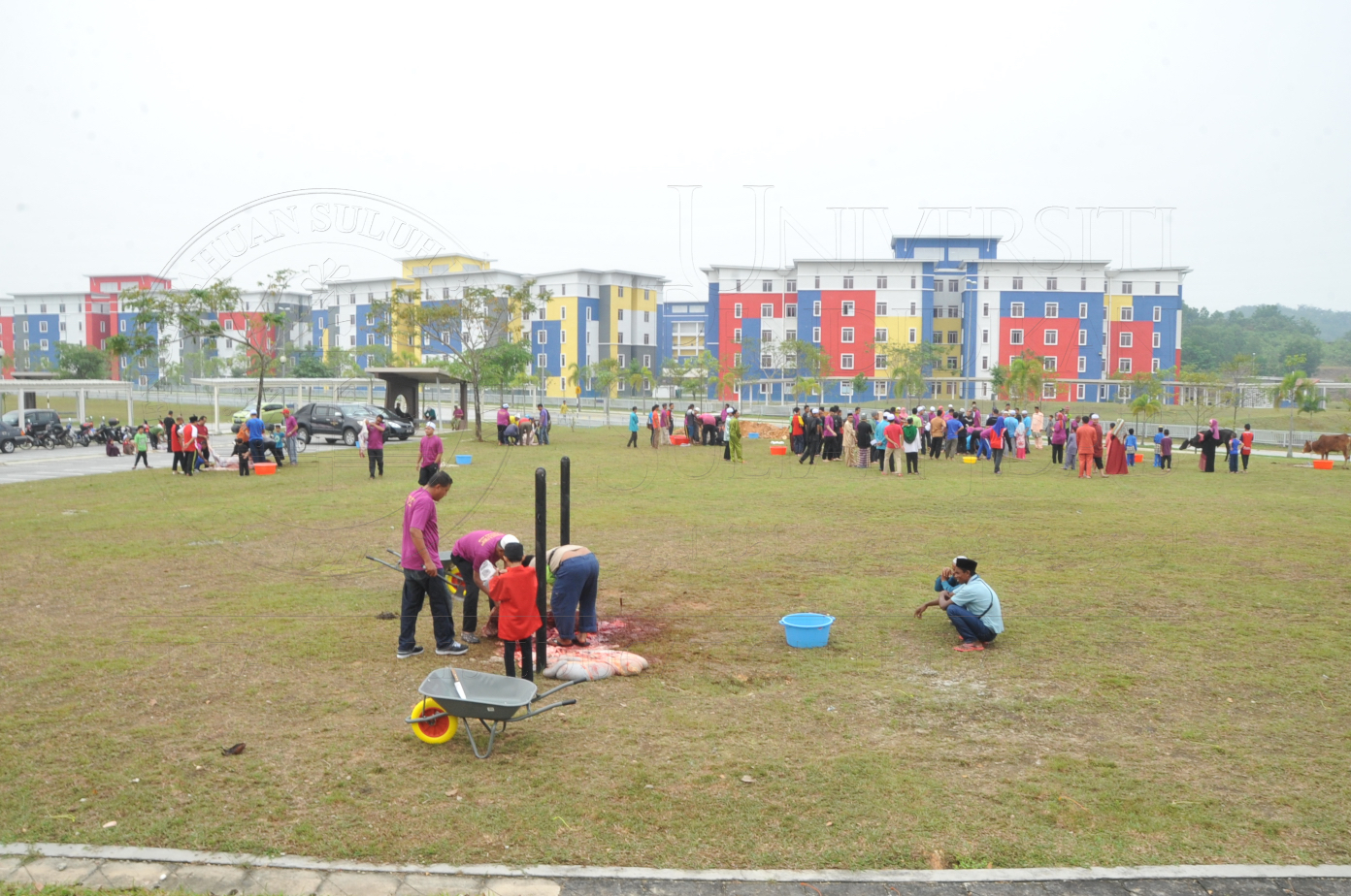 PRO15 150 KORBAN HAS 6865